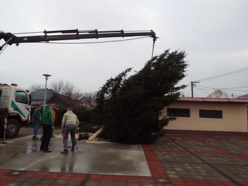 Osádzanie vianočného stromu na Agátovom námestí 2019