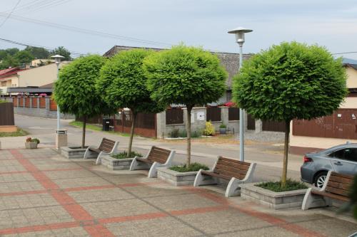 Rekonštrukcia lavičiek na Agátovom námestí